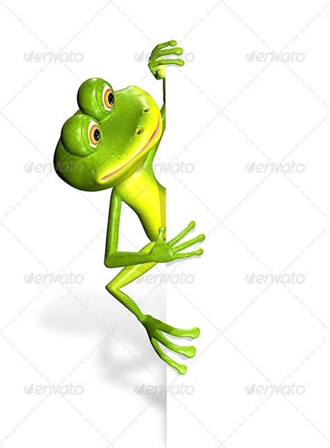 Frog And White Background Frog Illustration Frog Art Frog