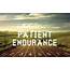 Patient Endurance Is What You Need  Good News Unlimited