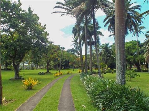 13 Best Things To Do In Suva Fiji Complete Guide To Fijis Capital City
