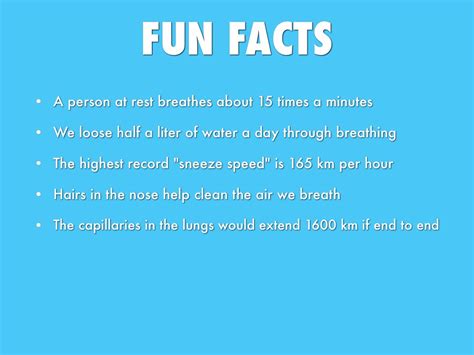 Facts About The Respiratory System Fun Facts Fun Guest