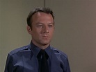 Larry Linville/"The Academy" - Sitcoms Online Photo Galleries