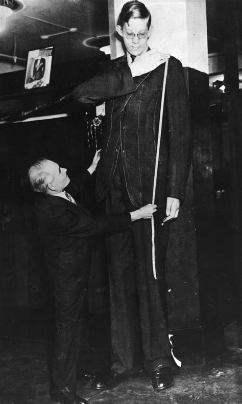 Самый Высокий Человек Фото Telegraph