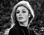 The murder of Sharon Tate: What Hollywood got right and wrong – Film Daily