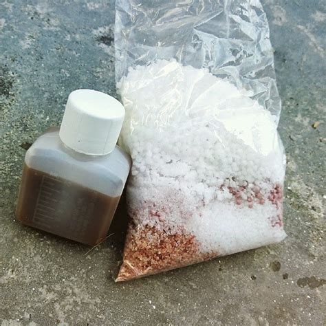 Fungsi benang sari anter adalah untuk menyimpan serbuk sari. Hidroponik Bangi: Produk