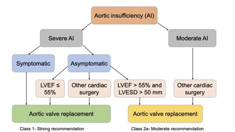 Aortic Insufficiency Hemodynamic Management Medical And Surgical