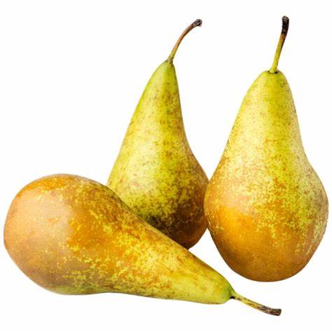 Груша конференция диета Груша Конференция - купить с доставкой в Московской области в Перекрёстке Груша Конференция - купить с доставкой в Московской области в Перекрёстке Груша конференция диета