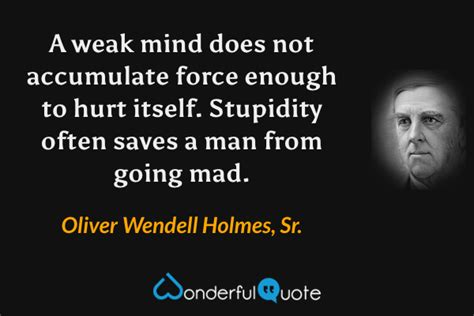 Stupidity Quotes Wonderfulquote