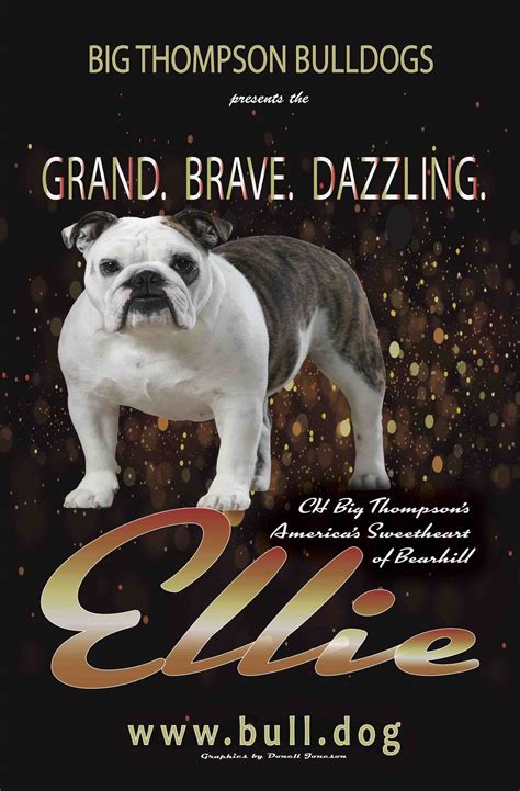 53+ Bulldog Advertising Photo - Bleumoonproductions