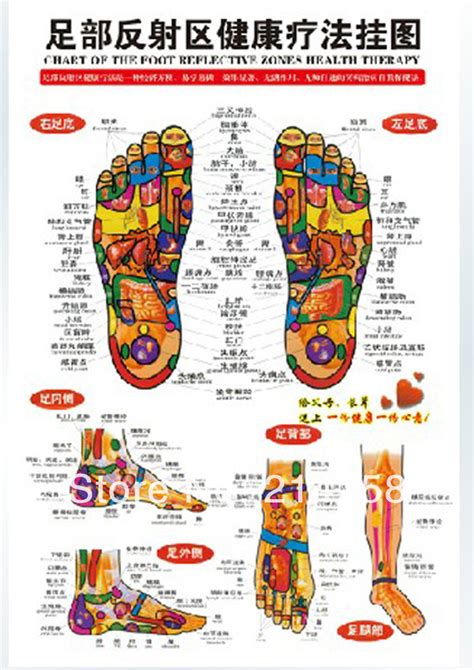 Chinese Chart Foot Reflective Zones Therapy Reflexology Massage Wall