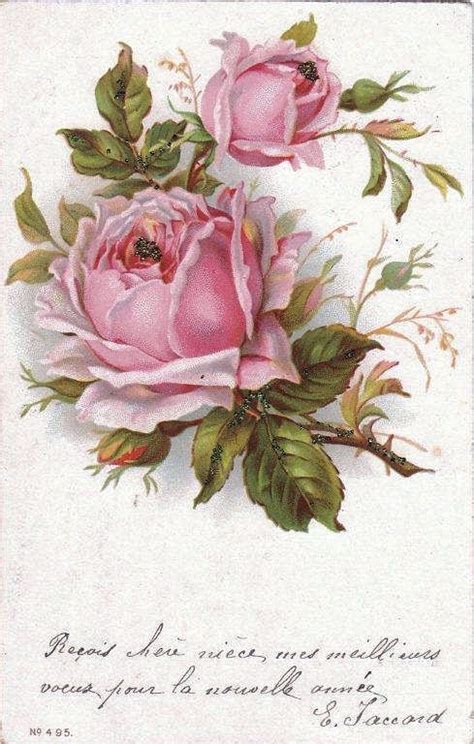 43 Pink Rose Images Vintage Roses Flower Art Vintage Cards