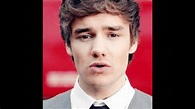 Liam Payne's solos from Up all night - YouTube