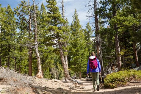 We did not find results for: Estes Park: Dog-Friendly Hiking -Just a Colorado Gal