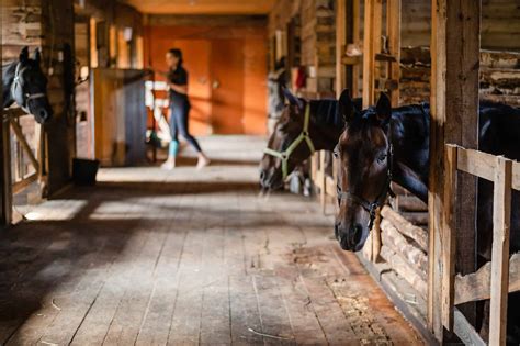 Horse Stable Cost To Build Kobo Building