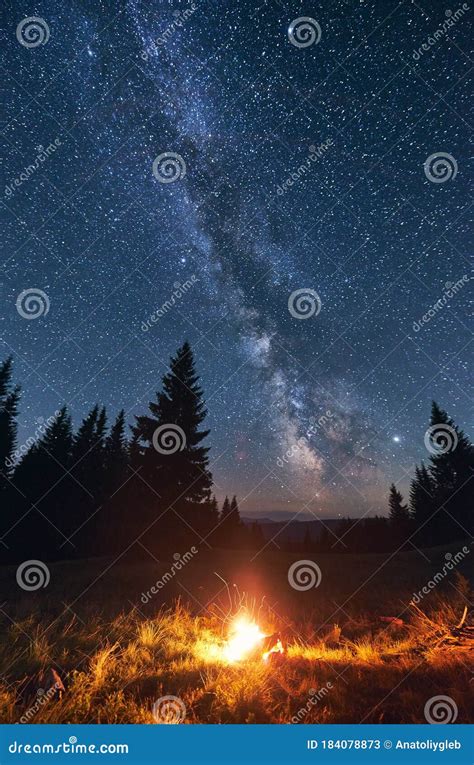 Bright Campfire In Night Forest Starry Sky Stock Image Image Of