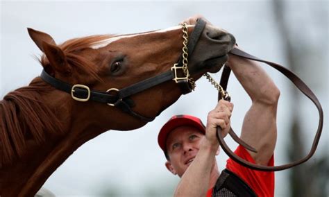 Top 19 Lists Of All The Kentucky Derby Horse Names