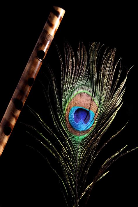 peacock feather hd wallpaper for pc ~ peacock wallpaper feathers feather hd wallpapers colorful
