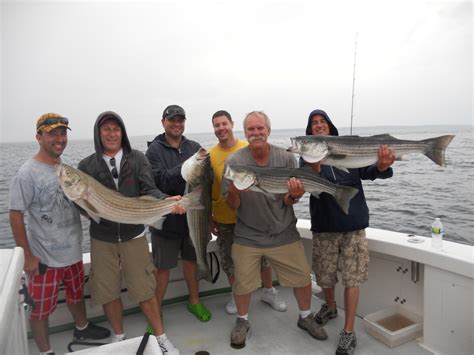 Striped Bass Fishing Charter Archives Fishing Charters Gloucester Ma