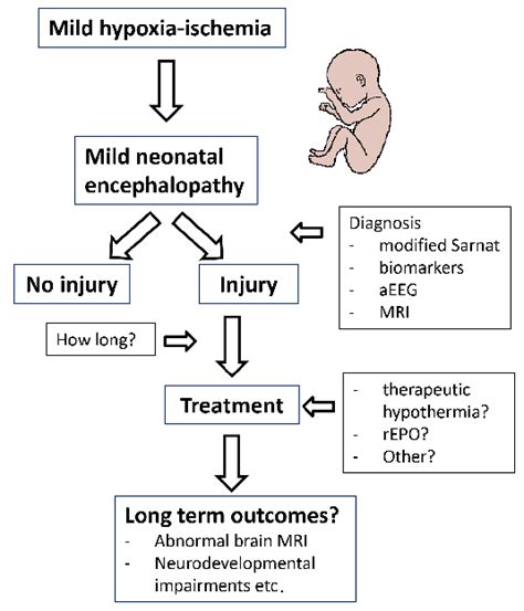 The Evolution Of Mild Neonatal Encephalopathy Aeeg Download