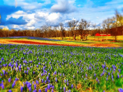 35 Beautiful Spring Pictures And Wallpapers