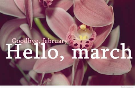 Goodbye February Hello March Hello March Hello April Hello March