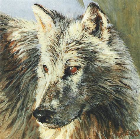 Arctic Wolf Painting By Steve Greco