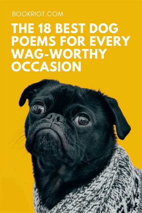 And in that town a dog was found, as many dogs there be, both mongrel, puppy, whelp and hound, The 18 Best Dog Poems for Every Wag-Worthy Occasion | Book Riot