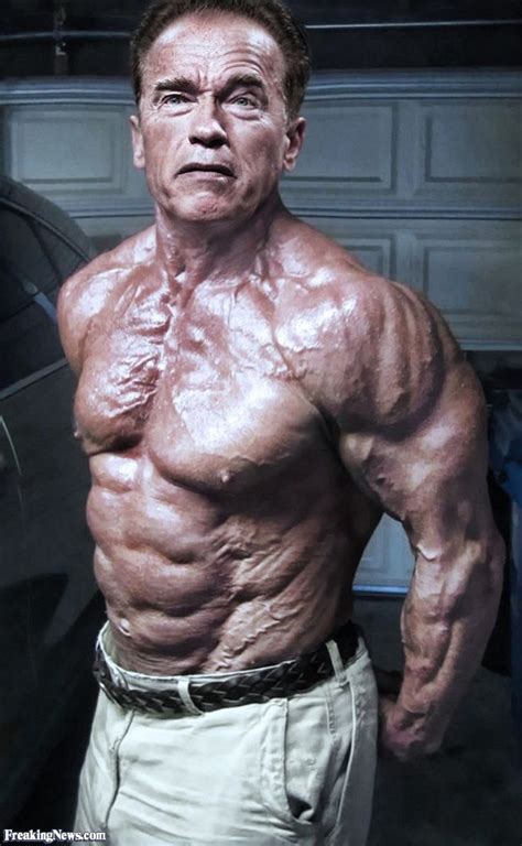 Nt Arnold Schwarzenegger Bodybuilding Muscle