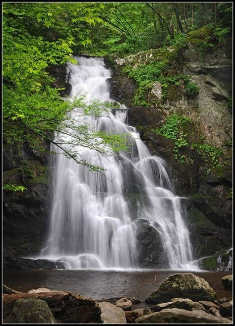 Spruce Flats Falls Great Smoky Mountain National Park Tennessee