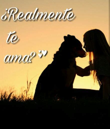 Señales Que Demuestran Si Tu Perro Realmente Te Ama Perritos Amino