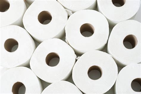 What Happens When You Flush Too Much Toilet Paper Down The Drain