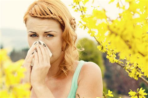 Spring Allergies Treating It In Five Unusual Ways All In All News