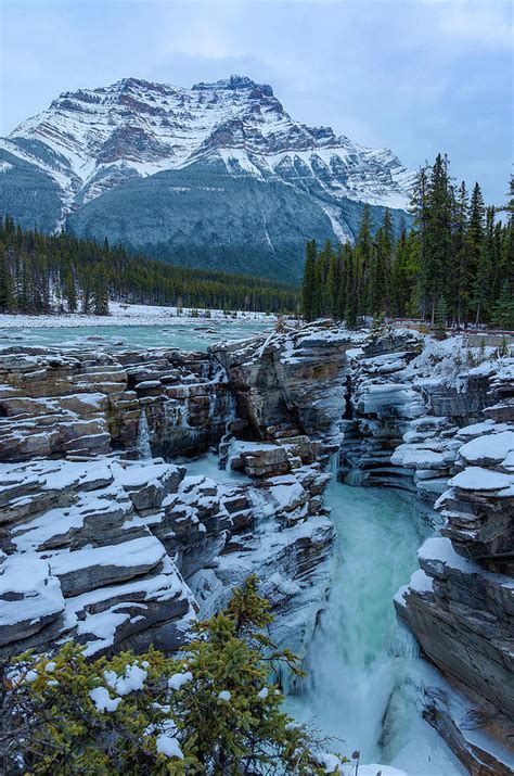 Athabasca Falls In Winter With Mount By Michael Wheatley
