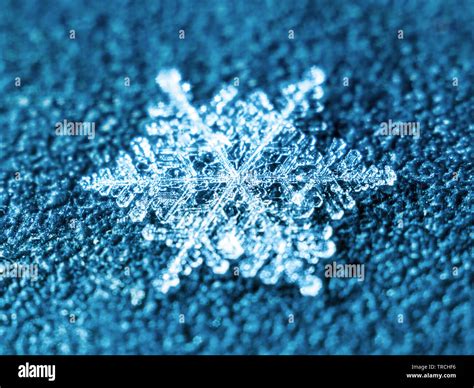 Natural Snow Winter Snowflake Ice Crystal Macro Photo High