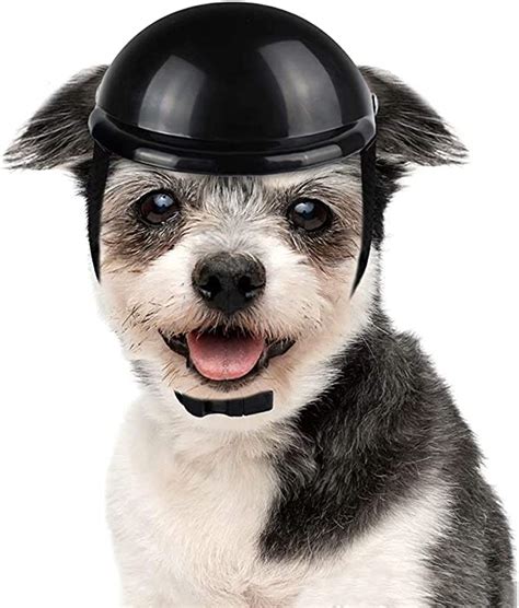 Lesypet Dog Helmet Paded Pet Motorcycle Helmet Safety Cap