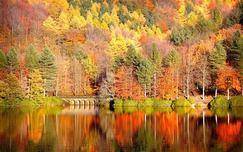 Download Wallpaper Late Autumn Seasonal Lake S Photography By