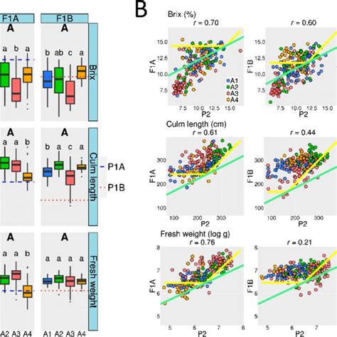 Phenotypic Differences Among Subpopulations And Phenotypic Correlations