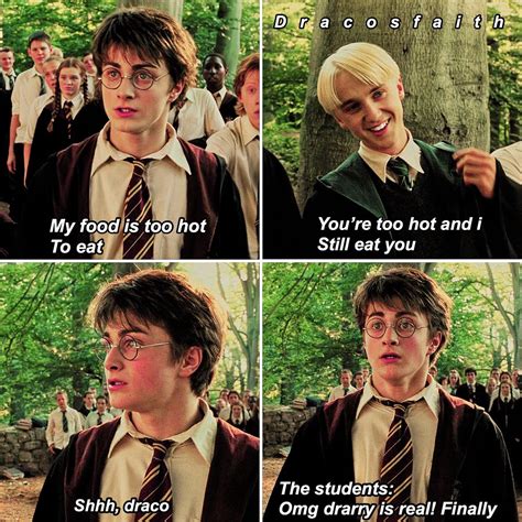 Drarry Gay Harry Potter Harry Potter Memes Hilarious Harry Potter Feels