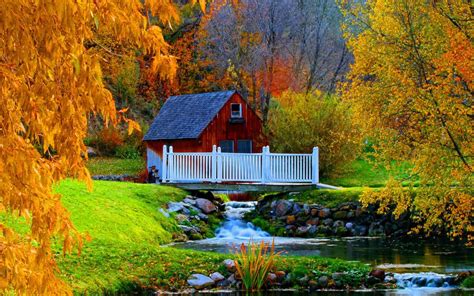 House In Autumn Forest Image Abyss