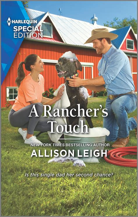 A Rancher's Touch (Return to the Double-C Ranch #19) by Allison Leigh