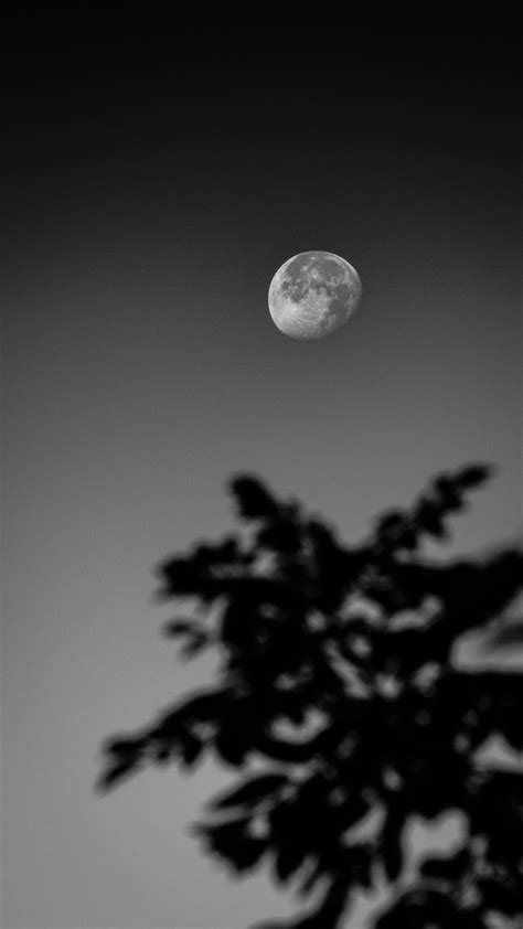 Moon Sky Darkness Free Photo On Pixabay Pixabay