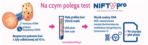 Test Nifty Pro Cena Badania Na Czym Polega Test Nifty Pro My Xxx Hot Girl