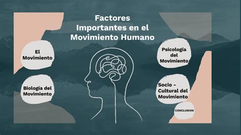 Importancia Del Movimiento En Diversos Factores By Diego Andres