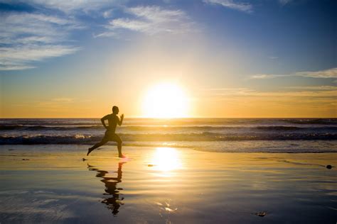 Quotes About Beach Running 56 Quotes