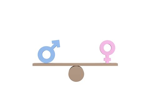 3d Gender Equality Concept Gender Symbols Balancing On Wooden Seesaw