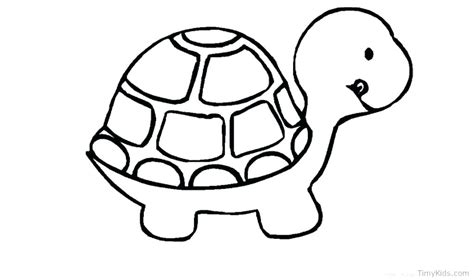 Collection of turtle drawing (50) sea animals drawings turtle turtle drawing images with color Sea Turtle Drawing Color | Free download on ClipArtMag