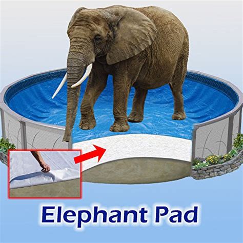 Best Above Ground Pool Pad Of Buyer S Guide Reviews