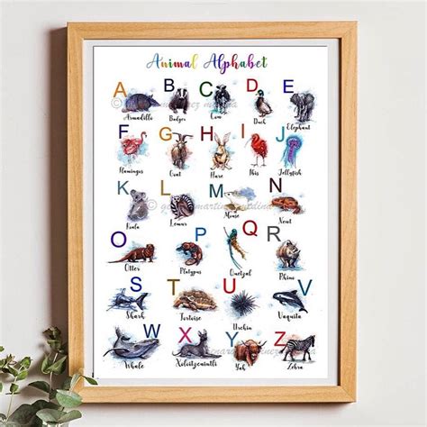 Animal alphabet | Animal alphabet, Animals in alphabetical order, List