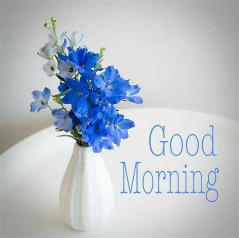 Good morning white flower images hd for friends. Good morning | Good morning flowers pictures, Good morning ...