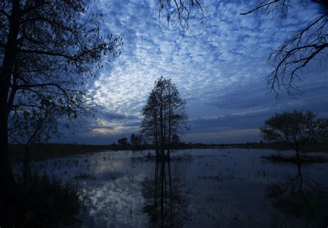 Wallpaper Sunlight Landscape Forest Sunset Lake Water Nature