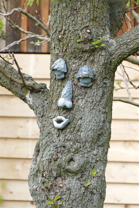 Treefacefunnytree Faceforest Spirit Free Image From